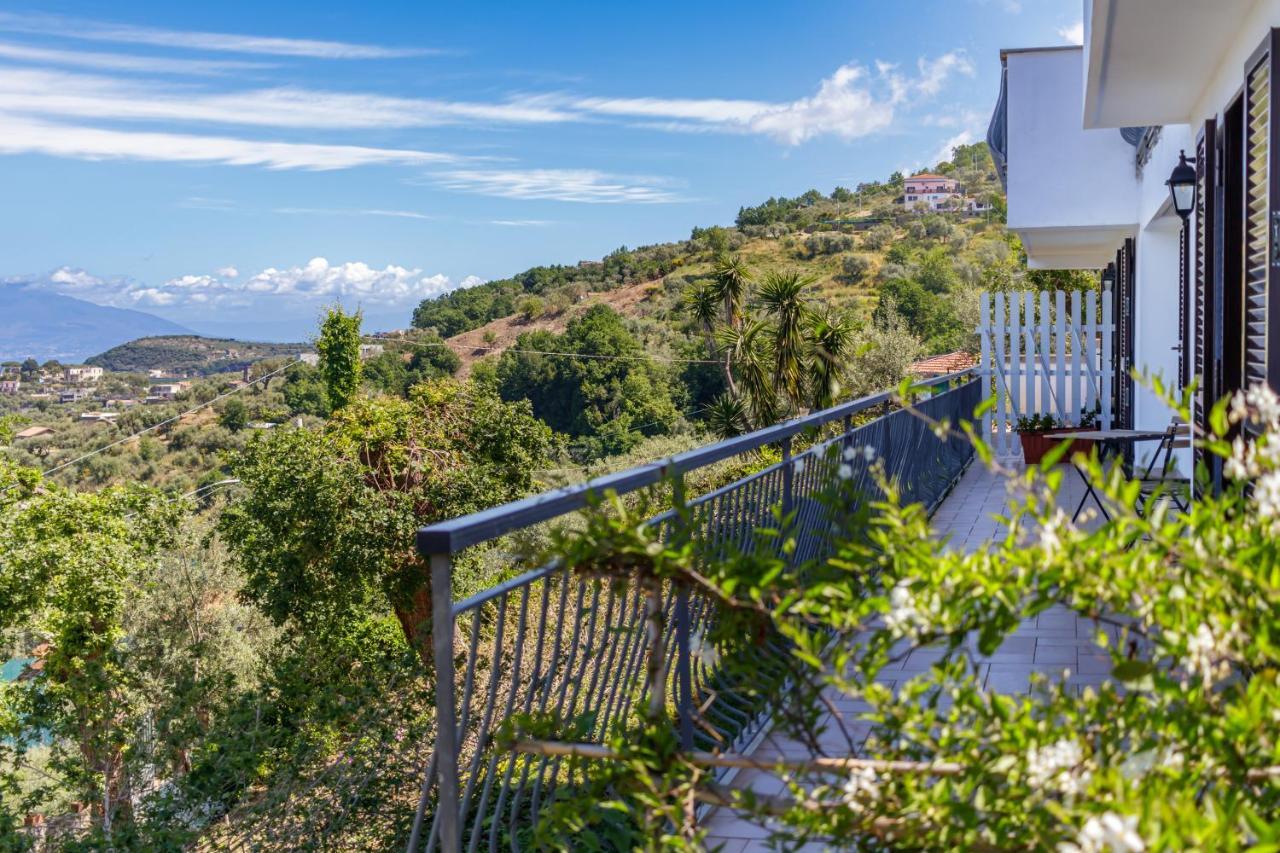 Villa Novanta マッサ・ルブレンセ エクステリア 写真